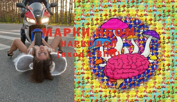 spice Елизово