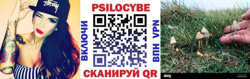 Купить где  Чебаркуль  Галлюциногенные грибы ЛСД 