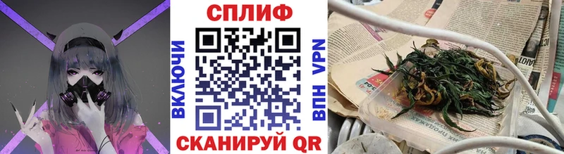 Купить  Чебаркуль  Бошки Шишки план 